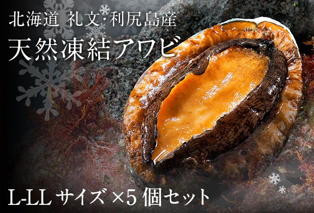 礼文島産 凍結島アワビ Lサイズ 5個 魚貝類 魚介類 鮑利尻昆布 良質 瞬間冷凍 磯の香り コリコリ 獲れたて 甘い 贈り物 