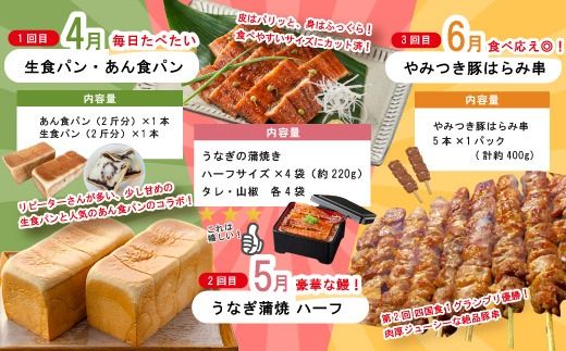 【 年末限定 】 8回 定期便 四万十 人気グルメ お楽しみ定期便 しまんと ふるさと定期便 10万円 Aコース 今だけ 鰻 牛肉 鶏肉 豚肉 パン 魚 タタキ 鰹 カツオ みかん 柑橘 フルーツ ケーキ ごちそう 贅沢 豪華 高知 四万十市 R7-614