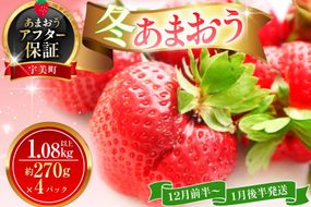 いちご あまおう 冬あまおう 270g以上 4p 計1080g以上 【12月前半〜1月後半発送】 期間限定 [ストロベリーファーム 福岡県 宇美町 um40azp070008] 先行予約 イチゴ 苺 フルーツ 果物 果実 甘い 小分け あまい 4パック 1kg