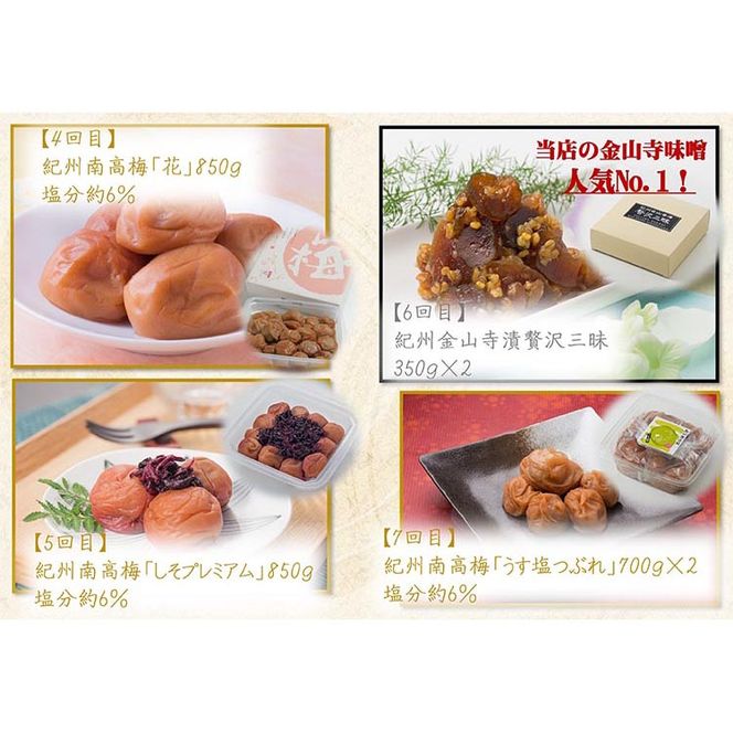 【定期便/毎月配送/全10回】やまだ厳選10品