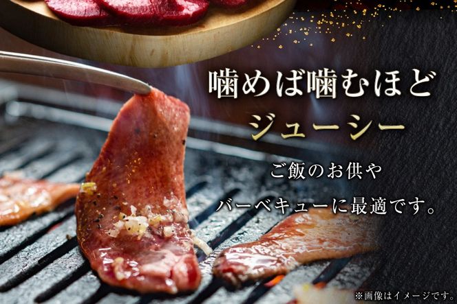 牛タン 厚切り 訳あり 塩味厚切り牛タン 500g 1P 計500g [上球磨農産 熊本県 五木村 51120347] 牛たん たん 塩牛タン 味付け肉 塩味 牛 牛肉 肉 焼肉 BBQ おすすめ 焼き肉 焼肉用 小分け 冷凍