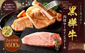 【定期便】黒樺牛 【2回定期便】肉厚サーロインステーキ 約300g 合計約600g お肉 肉 牛肉 ブランド黒毛和牛 和牛 黒毛和牛 ブランド牛 サーロイン ステーキ ロースステーキ 冷凍 国産 九州産 冷凍