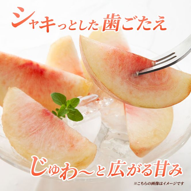 【2026年8月中旬～発送予定】 先行予約 「浅間水蜜桃プレミアム」 もも 川中島白桃 秀品 約2kg 5～9玉 贈答品 ふるさと納税 果物 フルーツ モモ 果肉 デザート 酸味少なめ 硬め 長野県産 小諸市