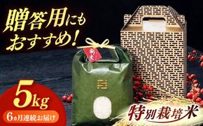 【全6回定期便】 とくべつ の中の とくべつ  特別栽培米  夢つくし 5kg 【築上町】 / itoshimacco / 株式会社やました[ABEX007]