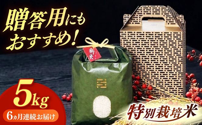 【全6回定期便】 とくべつ の中の とくべつ  特別栽培米  夢つくし 5kg 【築上町】 / itoshimacco / 株式会社やました[ABEX007]