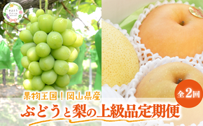 【2026年先行予約】シャインマスカットと梨詰め合わせ2-3種が届く！ぶどうと梨の上級品定期便(岡山県産)【KF-T053-03】