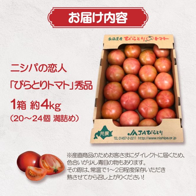 【先行予約/2026年6月以降発送】【家庭用】ニシパの恋人「びらとりトマト」秀品 1箱 約4kg（20～24個 満詰め） BRTO001