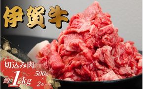 伊賀牛 切込肉 1kg（500g×2）【gzit0007-2】