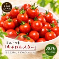 [2026年発送] 北海道 仁木町産 ミニトマト キャロルスター 800g (32粒～50粒) トマト 野菜  国産 プチトマト 甘み 使いやすい サラダ お弁当 家庭用 子供に人気  リコピン [REDA FARM]