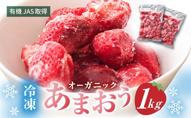 オーガニック冷凍あまおう 「いせいちご」 1kg (500g×2パック)【伊世いちご畑】_HA1315