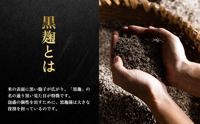 咲元酒造 咲元蔵波／SAKIMOTO KURAHA25度（720ml×12本）セット