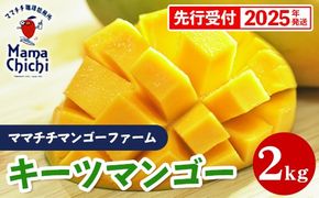 【先行受付】【2025年発送】ママチチマンゴーファームのキーツマンゴー約2kg