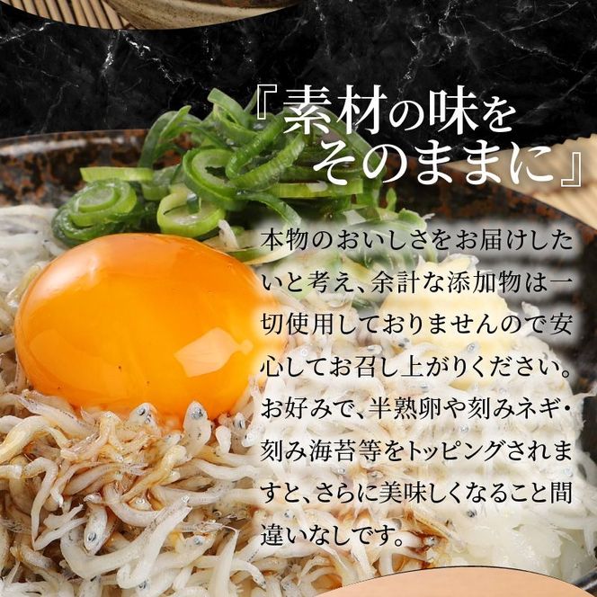 宮崎産 しらす丼 セット 小分け 5食分 200g 老舗醸造所 特製醤油付き　N065-YA0221
