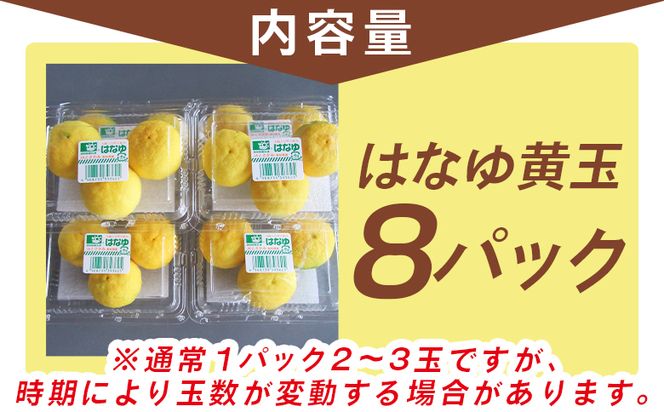 【2026年11月以降順次配送】虎弥太郎 はなゆ黄玉 ８パック - 国産 ゆず 柚子 ユズ 花柚子 柑橘 香酸柑橘 果物 花皮果汁 フルーツ 果実 料理 酒 ハイボール 焼酎 アレンジ 焼き魚 小分け おすそ分け 高知県 香南市 冷蔵 hy-0003