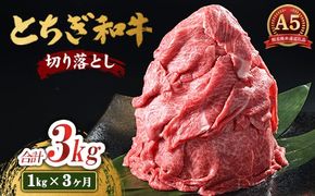 【3ヶ月定期便】とちぎ和牛 A5 切り落とし 1kg【栃木県共通返礼品・栃木県産】 | 肉 牛肉 和牛 国産 切り落とし 栃木県 鹿沼市
