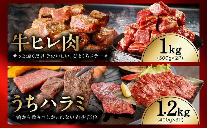 mrz0505 【氷温熟成×極味付け/特製ダレ】希少部位セット 合計9.1kg【小分け 希少部位 ヒレ 鶏肉 スペアリブ はらみ ハラミ 牛肉 焼肉 BBQ 簡単調理 味付き】