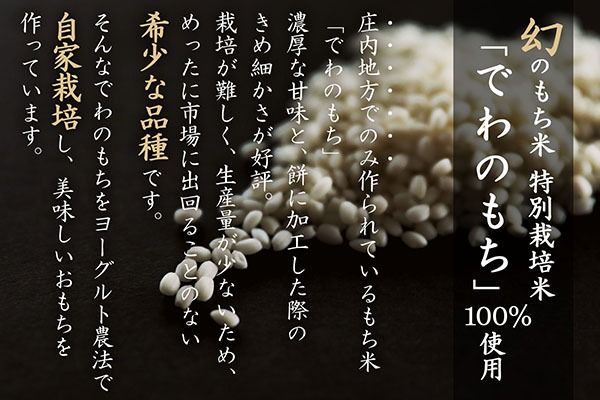 【R9.3月発送】庄内町産 杵つき餅 380g×5袋 『特別栽培米 でわのもち』使用 先行受付 柔らかく よく伸びる 梅木もち屋 個包装 小さめ 自家栽培 でわのもち ヨーグルト農法 杵つき 丸もち お餅 丸餅 餅【入金期限：2027年3月15日】