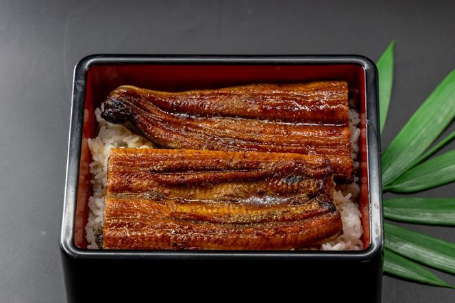 うなぎ 国産 うなぎ蒲焼セット カット8P (80g×8P 小袋たれ山椒付×8P) [静岡うなぎ漁業協同組合 静岡県 吉田町 22424687] 静岡県産 吉田町産 鰻 ウナギ 蒲焼き 蒲焼 かば焼き カバヤキ 真空パック 冷凍 うなぎ うな丼 うな重 鰻重 土用の丑の日 丑の日