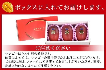 数量限定【2026年発送】＜宮崎県産 太陽のタマゴ A等級 2Lサイズ×3玉（合計約1kg）＞2026年4月上旬～6月末迄に順次出荷【 果物 くだもの フルーツ 太陽のタマゴ 太陽のたまご 完熟マンゴー ジューシー 果汁 かんじゅく 期間限定 先行予約 ギフト 贈答用 贈答品 贈り物】【a0694_ja】