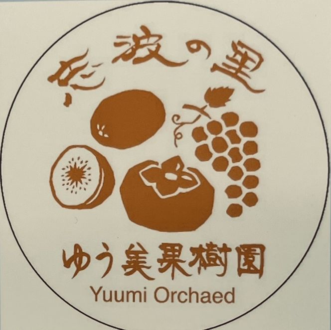 【朝倉市制施行20周年記念企画】 柿 志波の富有柿 Lサイズのみ×約12個入 ゆう美果樹園 ※配送不可：離島