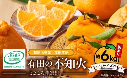 ZE6015n_有田の不知火(しらぬひ) 【訳あり　家庭用】　6kg (S～4Lサイズ混合)まごころ手選別