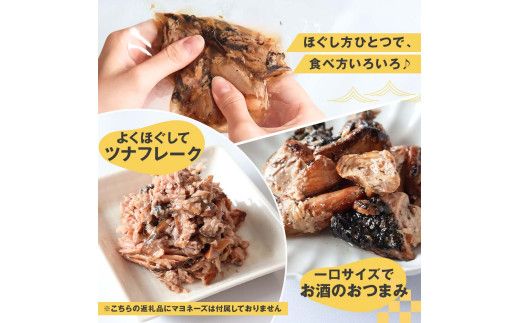 鰹ツナパウチ 100g×5袋セット 100グラム 国産 おにぎり つなまよ ツナマヨ ご飯 お弁当 魚 パスタ サラダ たんぱく質 タンパク質 おやつ かつお【企業組合　宇佐もん工房】 [BQAB064]