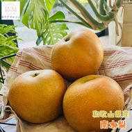有田の 樹上 成熟 梨 農家直送  南水 梨 約4.5kg［2026年・先行予約］  AO031