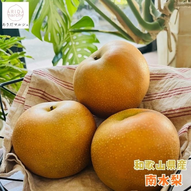 ya̎RLc쒬zLc  n  _ƒ  쐅  4.5kgm2026NEs\n  AO031