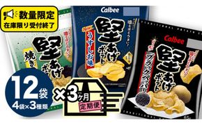 【 カルビー 3ヶ月 定期便 】 堅あげポテト 3種 各4袋 セット ( 計12袋 ) うすしお ブラックペッパー 焼きのり 堅あげ かたあげ ポテト ポテチ お菓子 おかし 大量 スナック おつまみ ジャガイモ じゃがいも まとめ買い 数量限定 [DA017us]