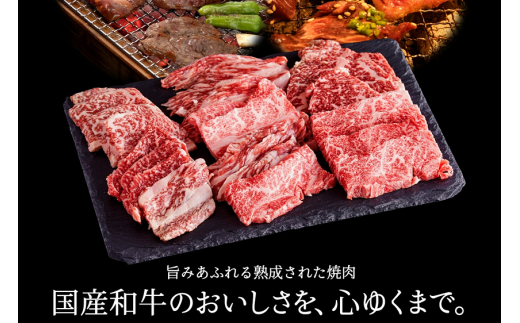 【累計2万パック突破！】但馬牛経産牛「焼肉用」（肩・モモ）1kg(500g×2) 020AA11N.／焼肉セット 黒毛和牛 いちかわ精肉店 経産牛 牛肉 肉 お肉 国産 bbq バーベキュー 焼き肉セット アウトドア キャンプ 冷凍 焼き肉用