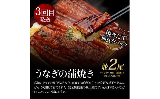 【CF-R7hbk】t129kyf-kgp　コロナ支援事業者さんを救いたい3か月定期便／1回目：マグロの漬け丼、2回目：芸西村本気極カツオのたたき（2～3人前）×2節、銀象ソルト+有機無添加土佐にんにくぬた、3回目：本気の高知ブランド鰻「西岡うなぎ」～並～うなぎの蒲焼き2尾セット（約250g）