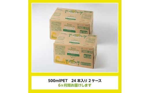 【6ヶ月 定期便 】サンA宮崎育ちのレモネード500mlＰＥＴ　24本入り×2ケース【 全6回 飲料 栄養機能食品 レモン 檸檬 マルチビタミン配合 セット ジュース PET 長期保存 備蓄 送料無料】 [C03016t6]