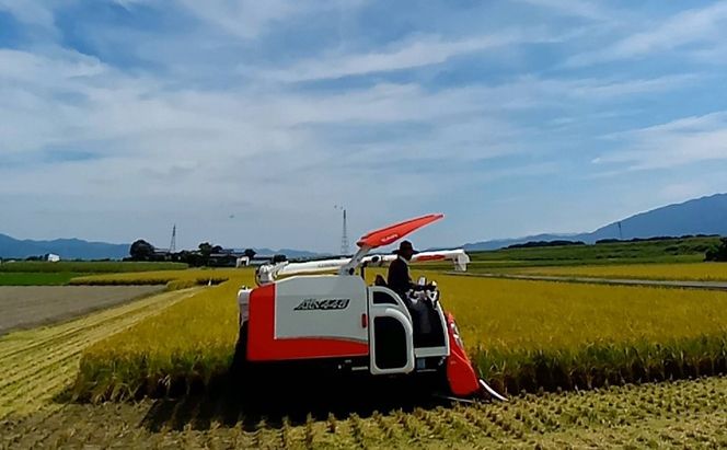 米 10kg 精米 ゆめつくし お米 福岡県産 