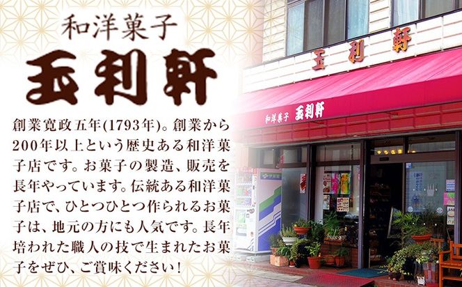 もち麦カステラ 1本 株式会社玉利軒《30日以内に出荷予定(土日祝除く)》岡山県 笠岡市 カステラ もち麦 お土産 和菓子 手土産 送料無料 冷蔵配送---T-37_cool---