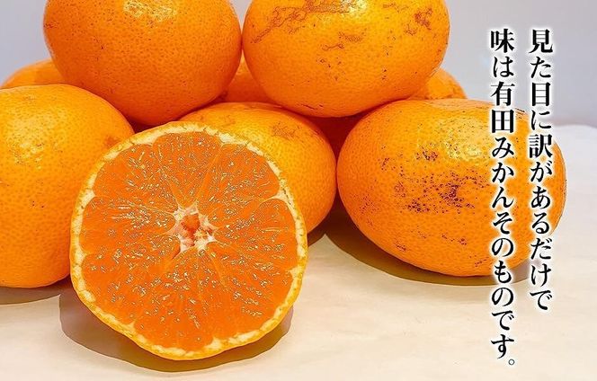 ［先行予約］訳あり それでも 熟成みかん 箱込2.5kg ( 内容量 2.3kg ) サイズミックス Ｂ品 有田みかん 和歌山県産 産地直送 家庭用 【みかんの会】 AX346