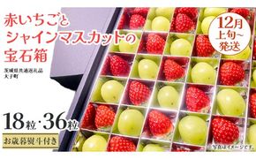 《 選べる 内容量 》【 お歳暮 熨斗付き 】 赤いちご と シャインマスカット の宝石箱 18粒 / 36粒 (茨城県共通返礼品：大子町) いちご マスカット 果物 フルーツ 旬 季節限定 期間限定 贈答用 ギフト 贈り物