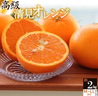 主井農園 高級 清見オレンジ 約2kg サイズ混合_ZS6156
