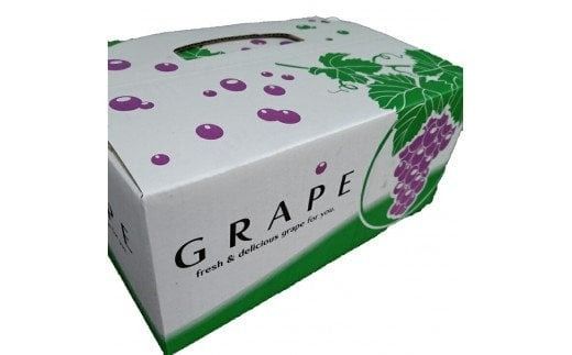 【予約受付】ブラックオリンピア 約1kg（2～3房）【2026年8月中より順次発送予定】 巨峰に似たはちみつぶどうと呼ばれる幻のぶどう 【申し込みは７月下旬まで】【nuk114A】