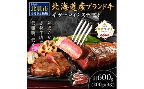 キタウシリ 牛サーロインステーキ 200g×3枚 ( 牛肉 サーロインステーキ 肉 ステーキ 赤身肉 ニク にく 北海道 国産牛 北見市 ブランド牛 赤身 ヘルシー 数量限定 )【173-0001】