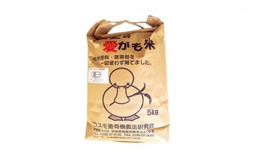 愛がも米 「 コシヒカリ 」 5kg ( 精米 ) 米 コメ こめ こしひかり 令和7年産 除草剤不使用 農薬不使用 化学肥料不使用 [AI002ci]