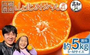 みかん 【2026年11月中旬より順次配送】 5kg 山北みかん 家庭用 露地(Ｓ～Ｍ) 高橋農園 - 小傷あり 送料無料 露地栽培 柑橘 果物 フルーツ ミカン 蜜柑 th-0030