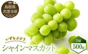【2026年8月中旬以降発送】いずもぶどう　シャインマスカット(500ｇ見当) 先行 美味しい フルーツ 果物 出雲市産 322032_CG009