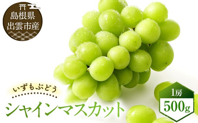 【2026年8月中旬以降発送】いずもぶどう　シャインマスカット(500ｇ見当) 先行 美味しい フルーツ 果物 出雲市産 322032_CG009