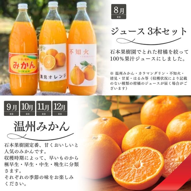 みかん【全10回】 柑橘 定期便 石本果樹園 店主おすすめの柑橘セットをお届け！ / フルーツ 果物 くだもの 柑橘 フルーツ定期便 くだもの定期便 定期便 フルーツセット くだものセット みかん ミカン 温州みかん 不知火 せとか セミノール ポンカン カラマンダリン 甘夏 清見 オレンジ ジュース みかんジュース 果実飲料 産地直送 旬 人気 おすすめ 詰め合わせ お楽しみ 三重県 紀宝町  【tkb509】