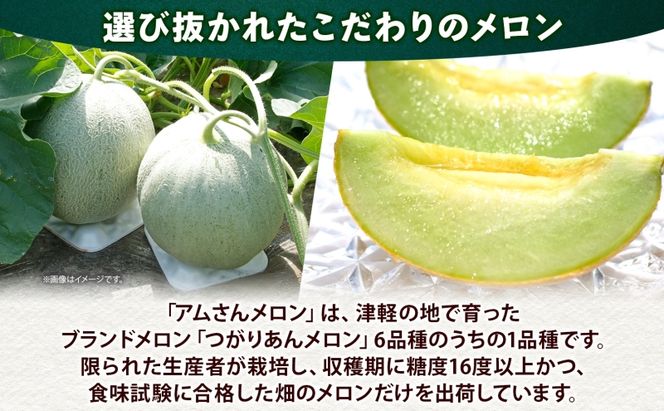青森県産 つがりあんメロン 「アムさん」 2Lサイズ 1玉 完熟 甘い ジューシー ハウス栽培 弘果弘前中央青果 産地直送 メロン フルーツ 果物 ギフト 贈答 青森県 鶴田町