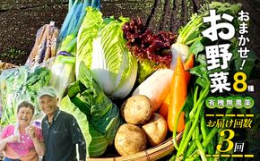 【3回定期便】特別栽培季節のお野菜セット 8品 野菜 無農薬 有機栽培 新鮮 やさい 旬 詰合せ 国産 宮崎県 九州 送料無料