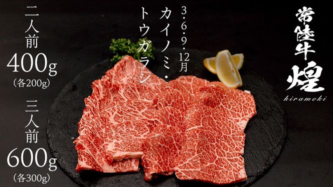 ＼選べる内容量／【定期便】＜全3回＞ 【 常陸牛 煌 】 焼肉 希少部位 堪能セット 約2人前 ・ 約3人前 (茨城県共通返礼品)  イチボ ミスジ 三角バラ シンシン カイノミ トウガラシ 牛肉 ブランド牛 きらめき 和牛 A5 黒毛和牛 国産黒毛和牛 贈答