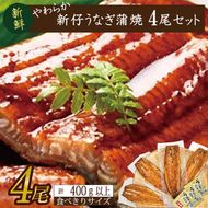 やわらか国内産うなぎ蒲焼き！ 食べ切りサイズ100～120g 4尾　計400g以上|うなぎ 鰻 蒲焼 食べ切り 茨城県 行方市(AD-104-1)