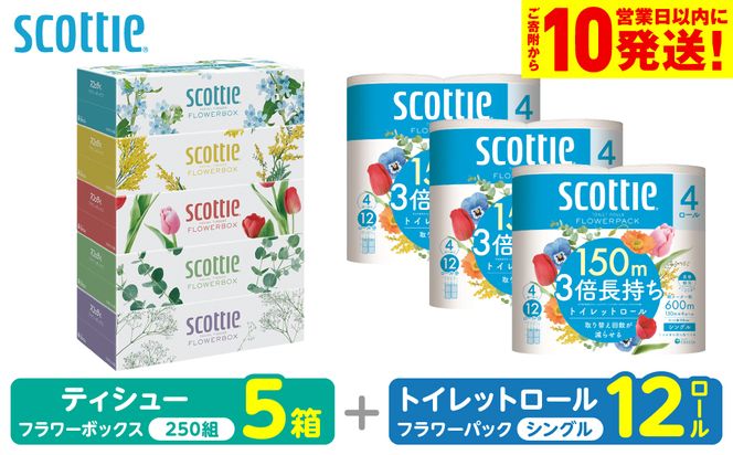 【スコッティ】 組み合わせ ティシュー フラワーボックス 250組 5箱 トイレットロール シングル フラワーパック 3倍長持ち 12ロール ティッシュ トイレットペーパー 日用品 防災備蓄 ストック 備蓄 新生活 防災 消耗品 生活用品 日用消耗品 箱ティッシュ