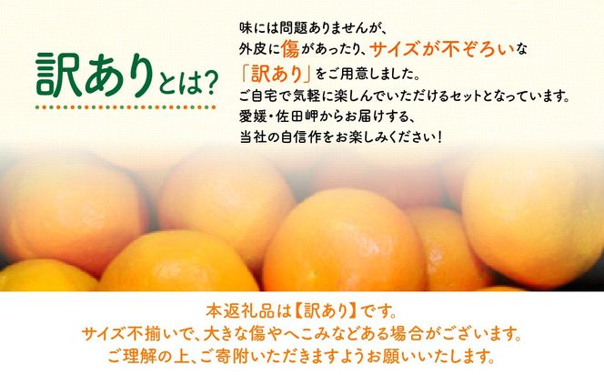 【先行予約】【訳あり】産地直送！愛媛県産いよかん 5kg（2027年1月中旬から発送予定）IKTF030